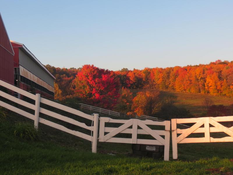 Fall on the farm